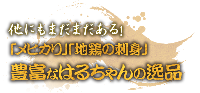 豊富なはるちゃんの逸品